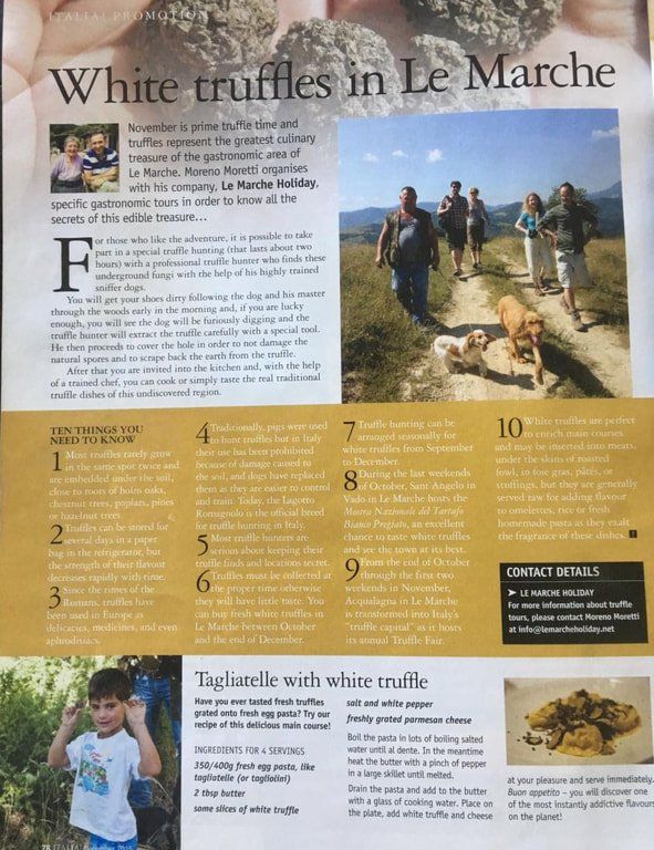 white-truffles-le-marche_orig-1